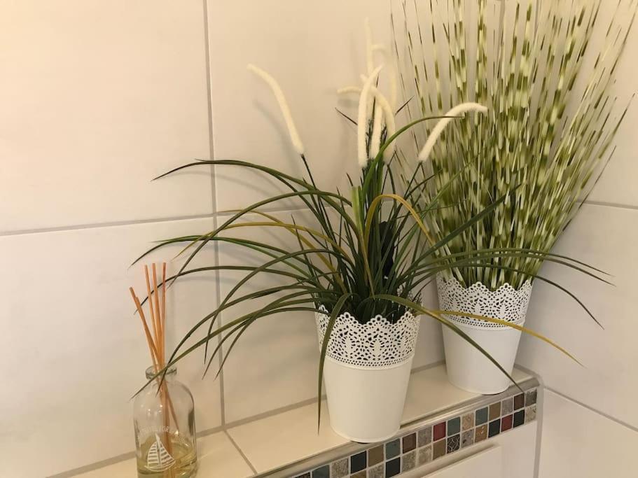 Wohlfuehlapartment Mit Charme Apartment