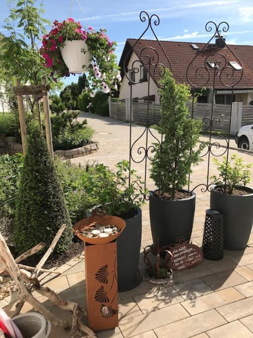 Wohlfuehlapartment Mit Charme Apartment